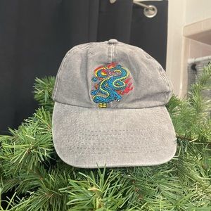 sol dragon baseball hat